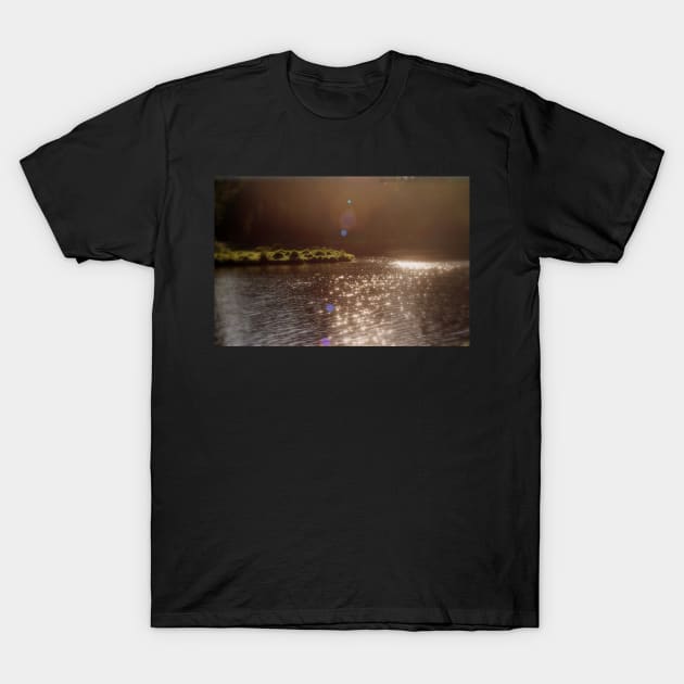 view across Trojan pond, near Goble, Oregon with flare 3 T-Shirt by DlmtleArt